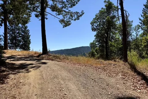 1200 Roberts Rd, Ben Lomond, CA 95005 photo 13