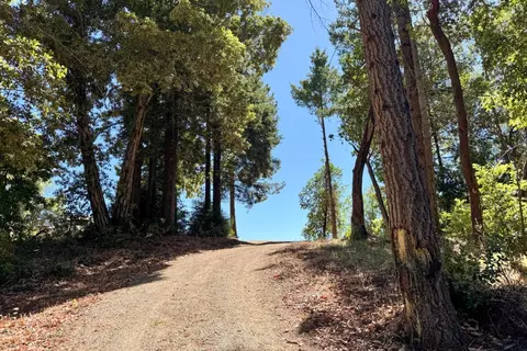 1200 Roberts Rd, Ben Lomond, CA 95005 photo 7