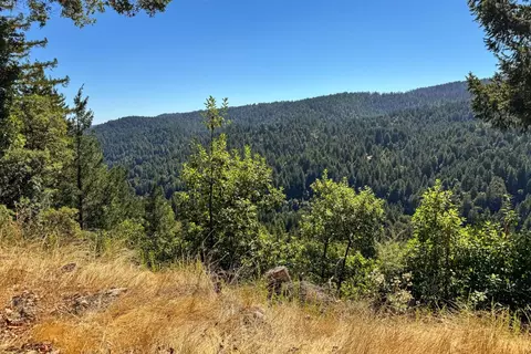 1200 Roberts Rd, Ben Lomond, CA 95005 photo 8