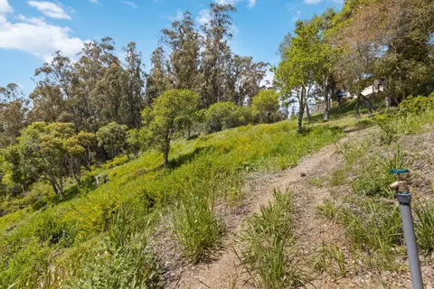 280 Petery Ln, Aptos, CA 95003 photo 17