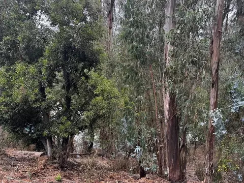 6587 Thornhill Dr, Oakland, CA 94611