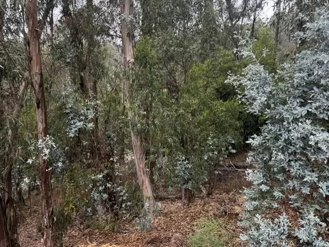 6567 Thornhill Dr, Oakland, CA 94611