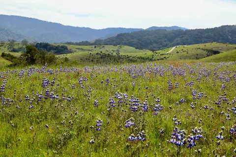 1 Penon Peak Trl, Carmel, CA 93923