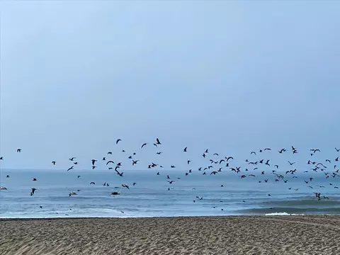 875 La Playa St 180, San Francisco, CA 94121