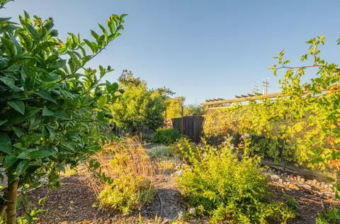 Exterior - 22720 Picador Dr, Salinas, CA 93908 photo 10 of 12