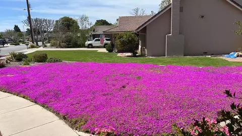 Exterior - 22720 Picador Dr, Salinas, CA 93908 photo 8 of 12