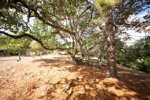 18221 Berta Canyon Rd, Salinas, CA 93907 photo 11