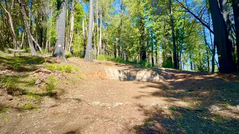 80 Conifer Ln, Santa Cruz, CA 95060