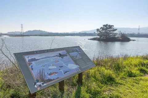 View/Area - 93 Caribe Isle, Novato, CA 94949 photo 3 of 4