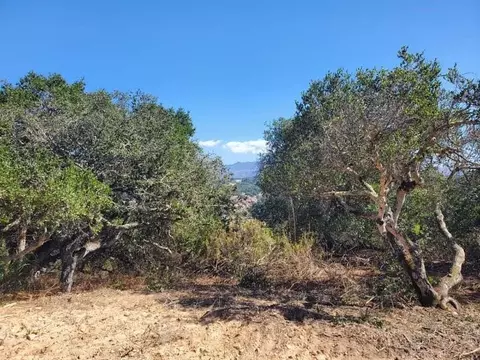 19705 Moonglow Rd, Salinas, CA 93907 photo 15