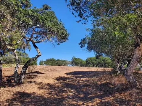 19705 Moonglow Rd, Salinas, CA 93907 photo 4