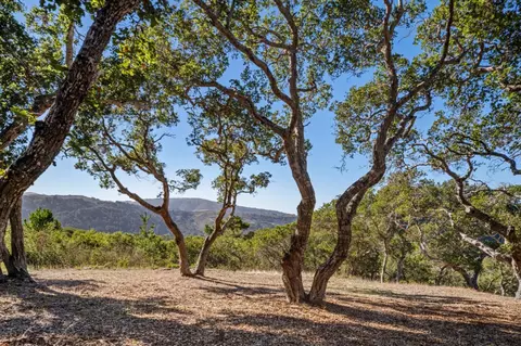 9 Corral Run, Carmel, CA 93923 photo 10