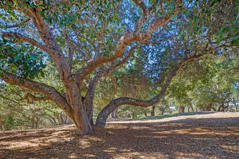 9 Corral Run, Carmel, CA 93923 photo 13