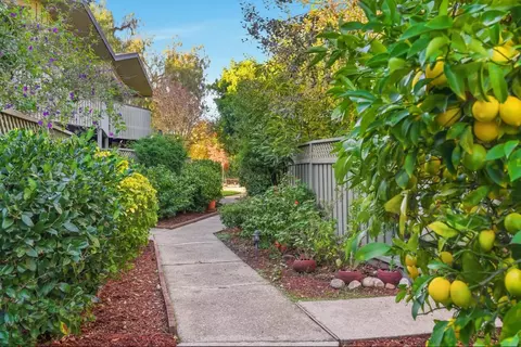 278 Monroe Dr 8, Mountain View, CA 94040 photo 26