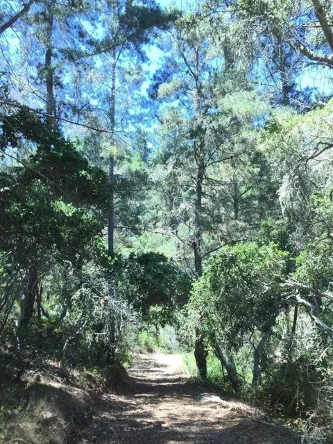 64 Marguerite, Carmel, CA 93923 photo 4