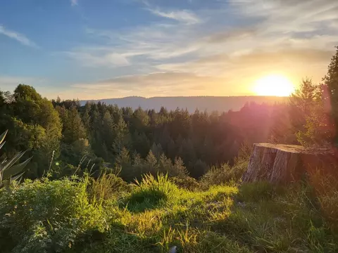 18060 Moonrise Rd, Boulder Creek, CA 95006