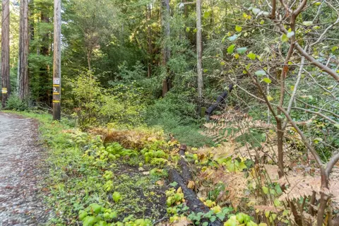 4 Old Mill Ave, Felton, CA 95018