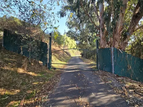 4234 Chaboya Rd, San Jose, CA 95148