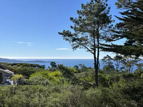 View/Area - 4021 Sunridge Rd, Pebble Beach, CA 93953 photo 5 of 7