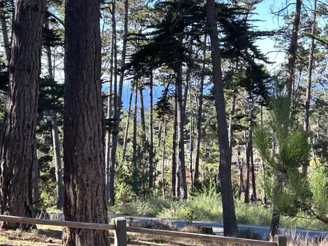 View/Area - 4021 Sunridge Rd, Pebble Beach, CA 93953 photo 7 of 7