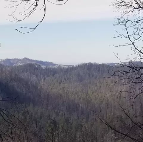 20604 Little Basin Rd, Boulder Creek, CA 95006