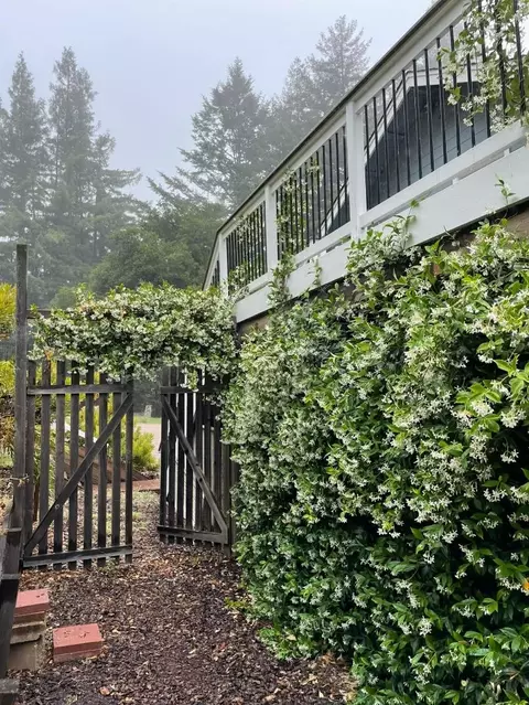 Exterior - 132 Pax Place Ct, Aptos, CA 95003 photo 12 of 12
