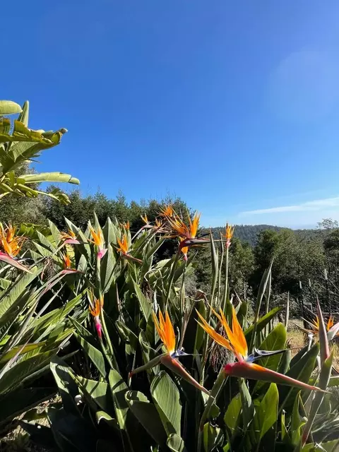 Exterior - 132 Pax Place Ct, Aptos, CA 95003 photo 11 of 12
