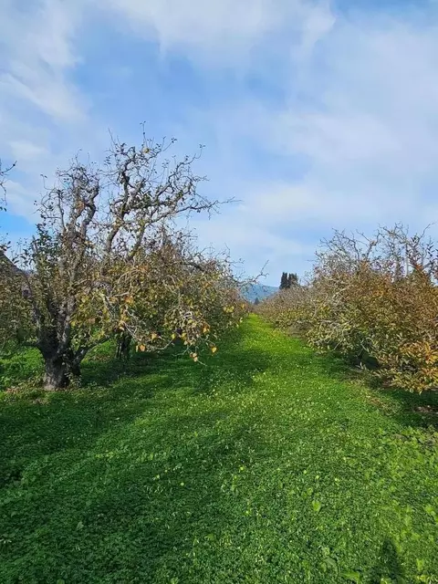 0 Varni Rd, Corralitos, CA 95076