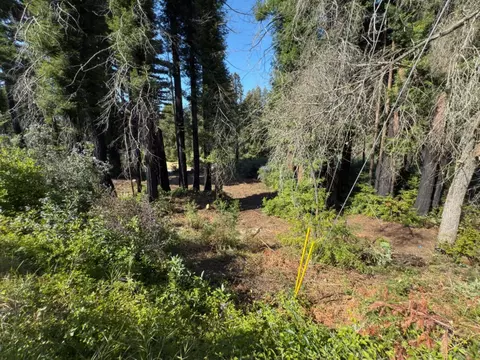 0 Fallen Leaf Dr, Boulder Creek, CA 95006 photo 3