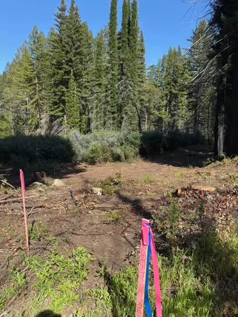 0 Fallen Leaf Dr, Boulder Creek, CA 95006 photo 4