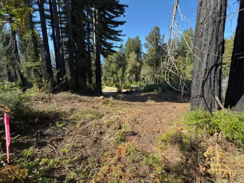 0 Fallen Leaf Dr, Boulder Creek, CA 95006 photo 2