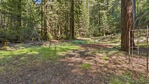 Exterior - 41 Back Rd, La Honda, CA 94020 photo 39 of 69