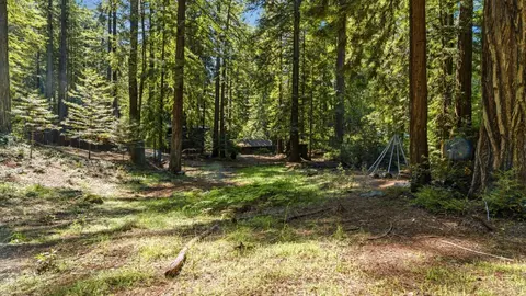 Exterior - 41 Back Rd, La Honda, CA 94020 photo 41 of 69
