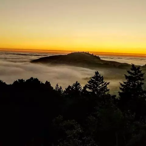 View/Area - 41 Back Rd, La Honda, CA 94020 photo 5 of 5