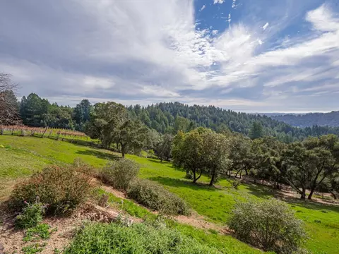 Exterior - 1584 Tindall Ranch Rd, Corralitos, CA 95076 photo 36 of 37