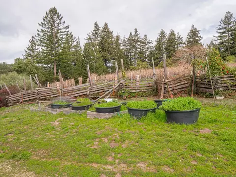 Exterior - 1584 Tindall Ranch Rd, Corralitos, CA 95076 photo 34 of 37