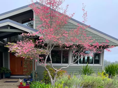 1584 Tindall Ranch Rd, Corralitos, CA 95076