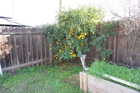 Exterior - 1016 Lombardy Dr, Modesto, CA 95351 photo 7 of 9