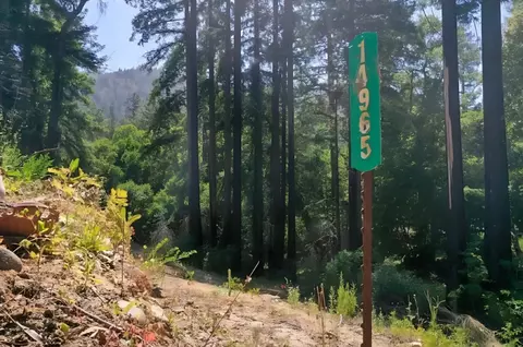 14965 Virginia Ave, Boulder Creek, CA 95006