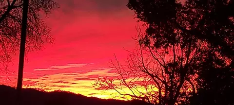 Other - 1495 Dons Rd, Boulder Creek, CA 95006 photo 7 of 7