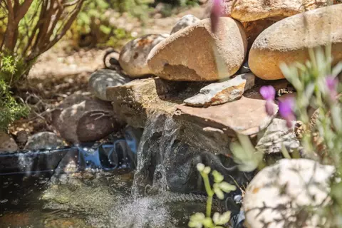 Other - 1495 Dons Rd, Boulder Creek, CA 95006 photo 5 of 7