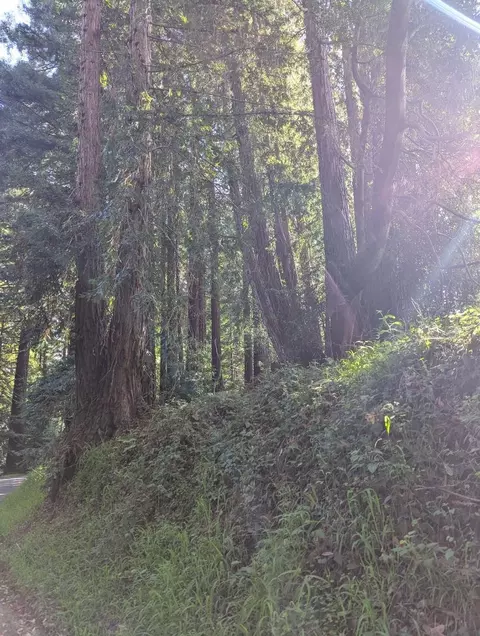 8055 Glen Haven Rd, Soquel, CA 95073