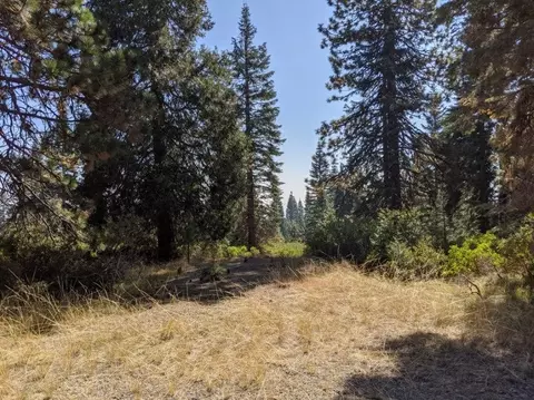 21 Ridge Dr, Mccloud, CA 96057 photo 9