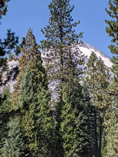 21 Ridge Dr, Mccloud, CA 96057