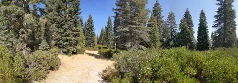 21 Ridge Dr, Mccloud, CA 96057 photo 5