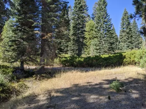21 Ridge Dr, Mccloud, CA 96057 photo 3