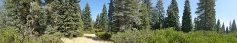 21 Ridge Dr, Mccloud, CA 96057 photo 6