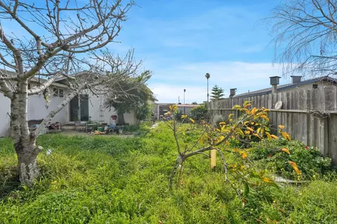 Exterior - 559 E Alvin Dr, Salinas, CA 93906 photo 9 of 9
