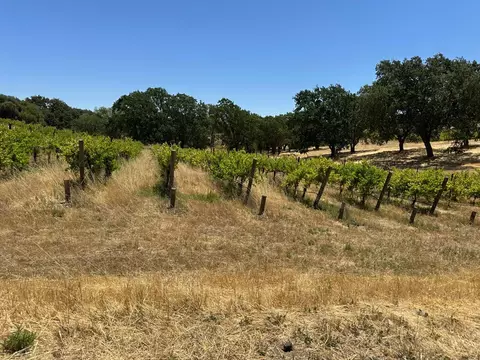 342 Kalthoff Cmn, Livermore, CA 94550