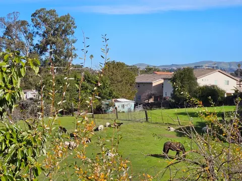 23022 Palazzo Del Kayla, Hayward, CA 94541